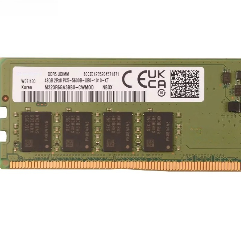 Memoria de servidor M323R6GB3B - Ddr5 64Gb reseña y precio